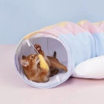 고양이 무지개 터널 숨숨집 하우스 반려 사계절 놀이터 바스락 고양이터널 고양이숨숨집 숨숨 : 샵샵shopshop