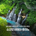 주식회사 마이스앤투어 | [디럭스투어] 흰그림자투어 소규모 비에이 후라노 일일투어 - 준페이 이용 가능 : 흰그림자투어 주식회사
