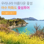 [부산출발] 여수 하화도 꽃섬 당일여행 리무진 버스투어 : 지원여행사