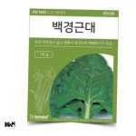 백경 근대 씨앗 베란다텃밭 야채키우기 근대심기 주말농장 실내식물키우기 야채씨앗 : 김앤문추천잡화점