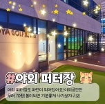 [양주옥정 키즈레슨] 주1회 1개월 KLPGA / KPGA 프로 지도 / 키즈레슨권 : 호야골프앤키즈 옥정점