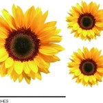 해바라기 비닐 자동차 스티커 오토바이 홈 데코용 스크래치 커버 노란 꽃 범퍼 데칼 1. 1pair : 지이유18호점