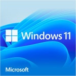 WIN HOME 11 64BIT DSP 1PK 독일 DVD HOME 라이선스 PC 디스크 : 헬로셀링