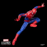 Hasbro (Hasbro) MARVEL : 6 G2054 마블 레전드 시리즈 스파이더 맨 노 웨이 홈 어메이징 스파이더 맨 : TLD.GLOBAL