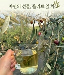 장사장마켓 / 농장에서 직접 재배한 올리브잎차 국내산 올리브 차 올리브티 OLIVE TEA  7박스(6+1) : 꽁네미떼