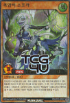 촉암비소프라 (RD/AP02-KR007) Ultra Rare 한글판 러시듀얼 유희왕 : TCG포유