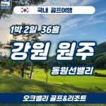 국내 강원원주 동원썬밸리 1박2일 골프패키지 : 조이 투어