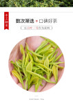 [2-3] 극백 안길백차 명전 녹차 극백귀아 약100g by 안길극백백차차장 : 운남상회 티다차이