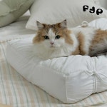 고양이방석 고양이 여름 방석 쿠션 대형 : 플러피펫