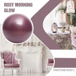 인파니 볼 - 분만을 위한 운동 공 물리 근력 아이들을 폭발 홈 방지 좌석 코어 Rose Gold : 멜로우데이01