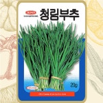 청림부추 20g 부추 씨앗 종자 주말농장 베란다 텃밭 : 뿌리고마켓