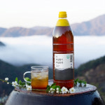[HACCP 인증] 시골원 매실향기 매실원액 1800ml 1병 대용량 하동 매실청 매실액 : 하동매실전문 농장 시골원