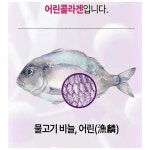 첨단 롱제비티 011 | 고함량 모발 콜라겐 저분자 어린 콜라겐 건강기능식품 : 롱제비티 패러독스