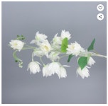 폴라 조화 청초롱 은방울꽃, 화이트, 2개 : 또또마트