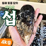 동해 자연산 섭 대왕 큰 담치 홍합 해녀작업 섭구이 탕 귀한 토종 4kg, 1개 : 퍼니몽마켓