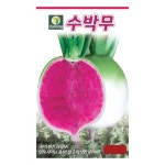 수박무 씨앗 100립 : 수누피팜