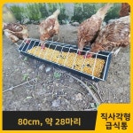 닭모이통 자동 급식기 오리 거위 먹이통 뒤집히지 사료 않는 애완동물 방목 1 전우힘줄닭먹이통 28cm 12구멍 : 코코넛 잡화점