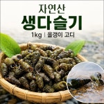 섬진강 민물 생다슬기 1kg 자연산 올갱이 : 콩이와멍이