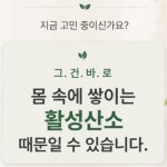 베르가못 지중해식단 폴리페놀 추출물 : 네츄럴바이오팜