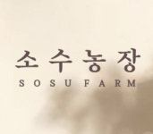 프리미엄 포슬미니단호박 밤호박 미니단호박 소수농장 2kg 4kg 8kg  : 소수농장
