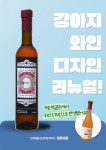 강아지 생일 선물 소고기 케이크 닭고기 엑기스 펫 음료 세트 : 강화사료