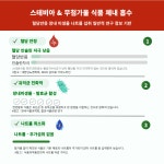 해드림김치 프리미엄 생포기김치 10kg 제로당 스테비아 무첨가김치 HACCP : 해드림 에프앤비