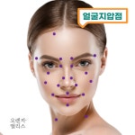 1+1+1 귀혈자리 귀지압패치 이혈테라피 이혈기석 붓기침 귀침 : 오렌지 앨리스