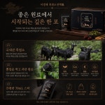 이경제 흑염소 진액 진 이경재 흑염소진액 흙염소진액 면역력 부모님선물 30포, 2개 : 픽트리랩