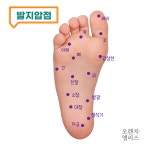 1+1+1 귀혈자리 귀지압패치 이혈테라피 이혈기석 붓기침 귀침 : 오렌지 앨리스