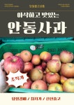 당일경매 국내산 안동사과 아삭한 사과 경매후바로직매입후배송 아삭하고 단단한 : 주식회사 오케이농산