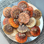 통영 활 비단가리비1kg 30-35미내외 달~큰한 가리비 산지직송 : 통 수산