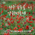 뉴화청국제여행사대구지사 | [당일여행]원주 용수골 꽃양귀비축제 부산출발버스여행 하나여행사부산 : 하나여행사부산