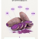 우베분말 우베파우더 얌뿌리 자색마 : 헬시파머