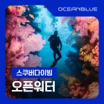 스쿠버다이빙 교육 입문과정 오픈워터 (PADI, PTRD) : 오션블루 마켓