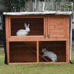 RABBIT HUTCH COVER 먼지 보이 케이지 눈에 겨울용 야외 방수 커버 반려동물 블랙. : 세미환
