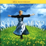 사운드 오브 뮤직(The Sound of Music) OST(45th Anniversary Edition 수입반) : MusicnShop