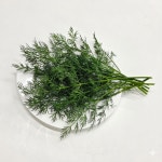 채소플러스 허브딜 500g, 1개 : 채소플러스