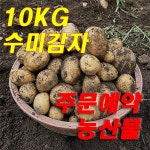 수미 감자 10kg 2개 묶음박스판매 : 마누아가든
