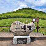 인제 천상의 화원 곰배령 순백의 명품자작나무 숲 국내트래킹 1박2일 기차여행[서울출발] : 써니여행사