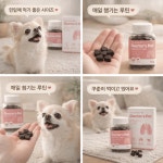 닥터스펫 강아지 영양제 호흡+기관지, 80g, 2개 : 하율펫