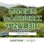 경상도골프 뉴스프링빌2CC 1박2일 골프패키지 : 세이브투어- 황수진차장