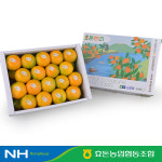 효돈농협 효돈감귤 제주 하우스감귤 로얄과 2S-M 2.5kg / 3kg / 4.5kg  (벌크/선물용) : 효돈농협