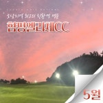 [26년 5월] 전남 함평 1박2일 36홀 패키지 함평엘리체CC : 돌고래여행사-돌핀스토어