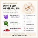 3개월분 지엔네이쳐 식물성멜라토닌 2mg 멜라나인 스탠다드 보조제 영양제 90정, 1개 : 주식회사 지엔네이쳐