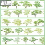 봄여름을 담은 나무,pet,마테소분컷,다꾸,다이어리 꾸미기,마스킹테이프,스티커,풍경 : 스티커 몽슈니
