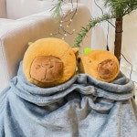 대형 동물 인형  포근한 감성 카피바라 large animal doll : 켈리주식회사