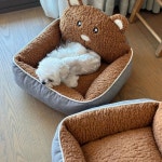 작은 곰 모양 사각형 시트 분리형 세탁 고양이 둥지 강아지 애완동물 침대 소형견 얼룩 방지 사계절용 1. 초콜릿 : 와이드마켓42호점
