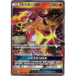 포켓몬카드 폭거북스 GX RR : monstertown