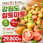 당일경매 강원도 찰토마토 신선하고 맛있는 토마토 10키로박스 : 주식회사 오케이농산