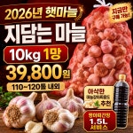 당일경매 국내산 햇마늘 신선한 지담는마늘 경매후바로발송 지용 가정용 알굵음 : 주식회사 오케이농산